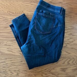 Torrid Skinny Jeans 22S